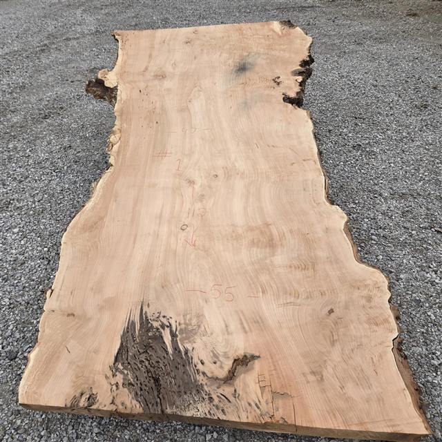 Willow marked 1 at the mill, chalk reading 47, 55 and 112 inches, with a dark burl formation at one end