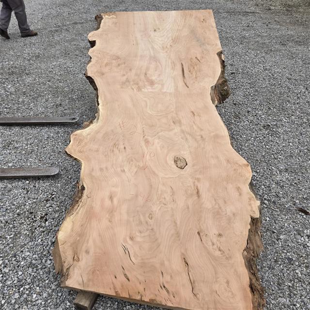 Willow marked 2 at the mill, chalk reading 46, 51 and 110 inches
