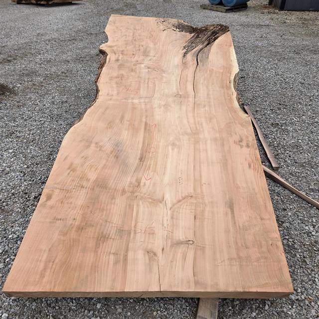 Willow marked 5 at the mill, chalk reading 45, 51 and a half, and 112 inches