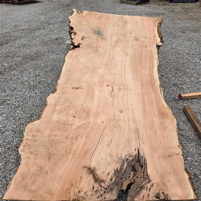 Willow marked 7 at the mill, the widest of the eight, chalk reading 47, 56 and 112 inches